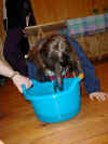 P3090020.JPG (76100 byte)