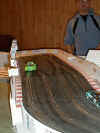 P3100051.JPG (67576 byte)