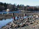 P3250027.JPG (61776 byte)