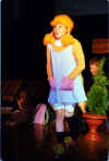 pippi1.jpg (96000 byte)
