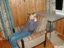 PA190001.JPG (63158 byte)