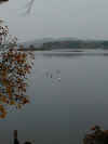 PA210037.JPG (52962 byte)
