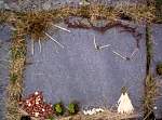 image020.jpg
