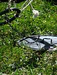 DSCF0945.jpg