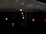 DSCF1366.jpg