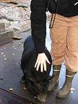DSCF1399.jpg
