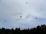 DSCF1407.jpg