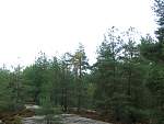 DSCF1412.jpg