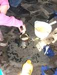 DSCF1442.jpg