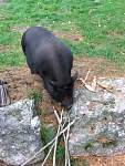 DSCF1457.jpg