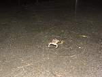 DSCF1509.jpg