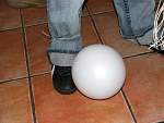DSCF1513.jpg